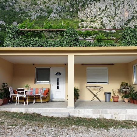 Apartment Jelena Kotor Buitenkant foto
