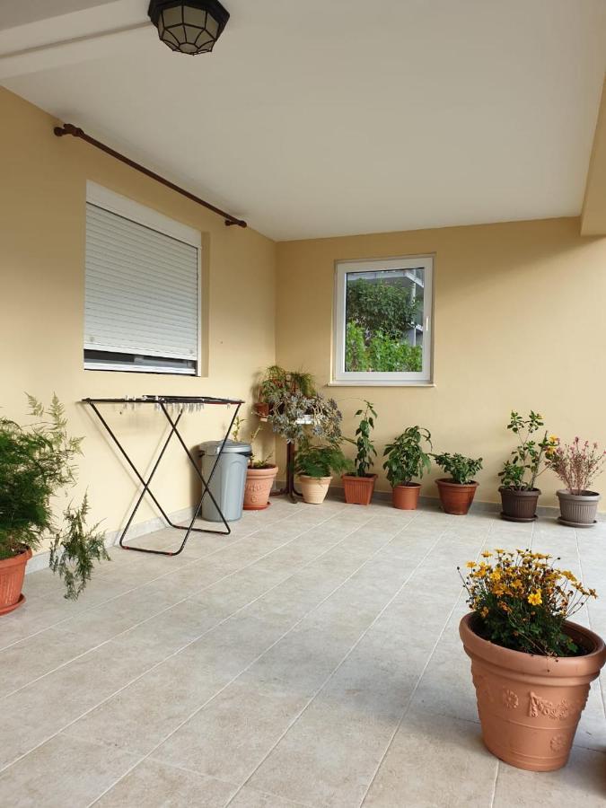 Apartment Jelena Kotor Buitenkant foto