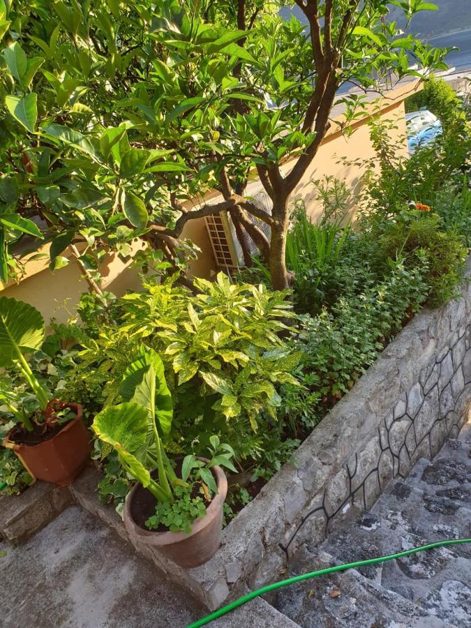 Apartment Jelena Kotor Buitenkant foto