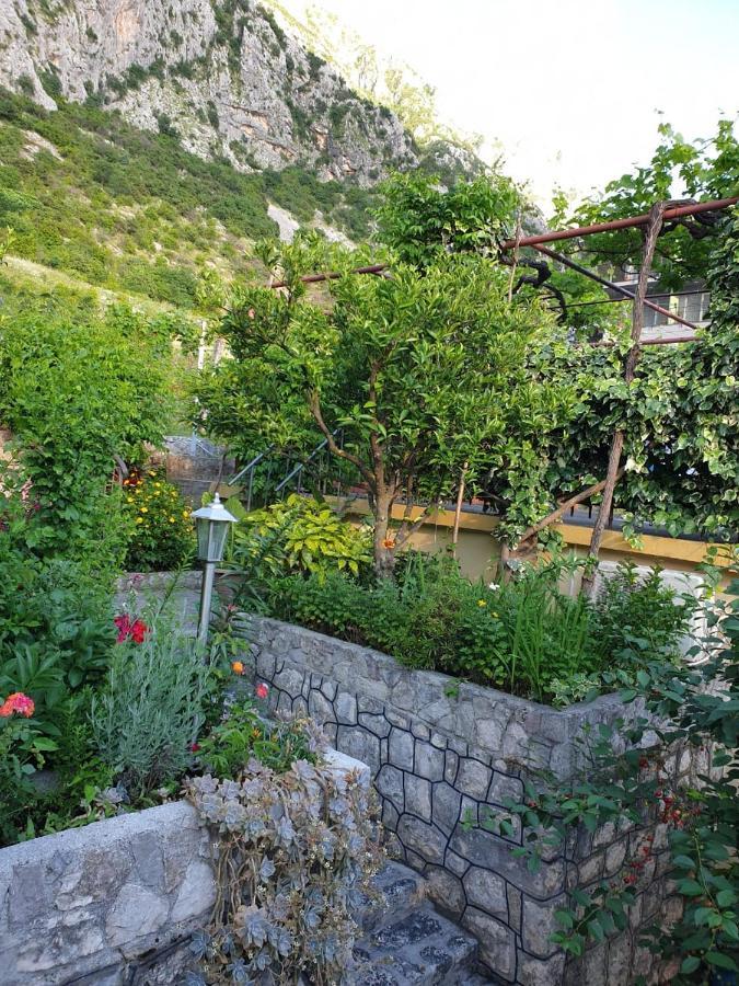 Apartment Jelena Kotor Buitenkant foto