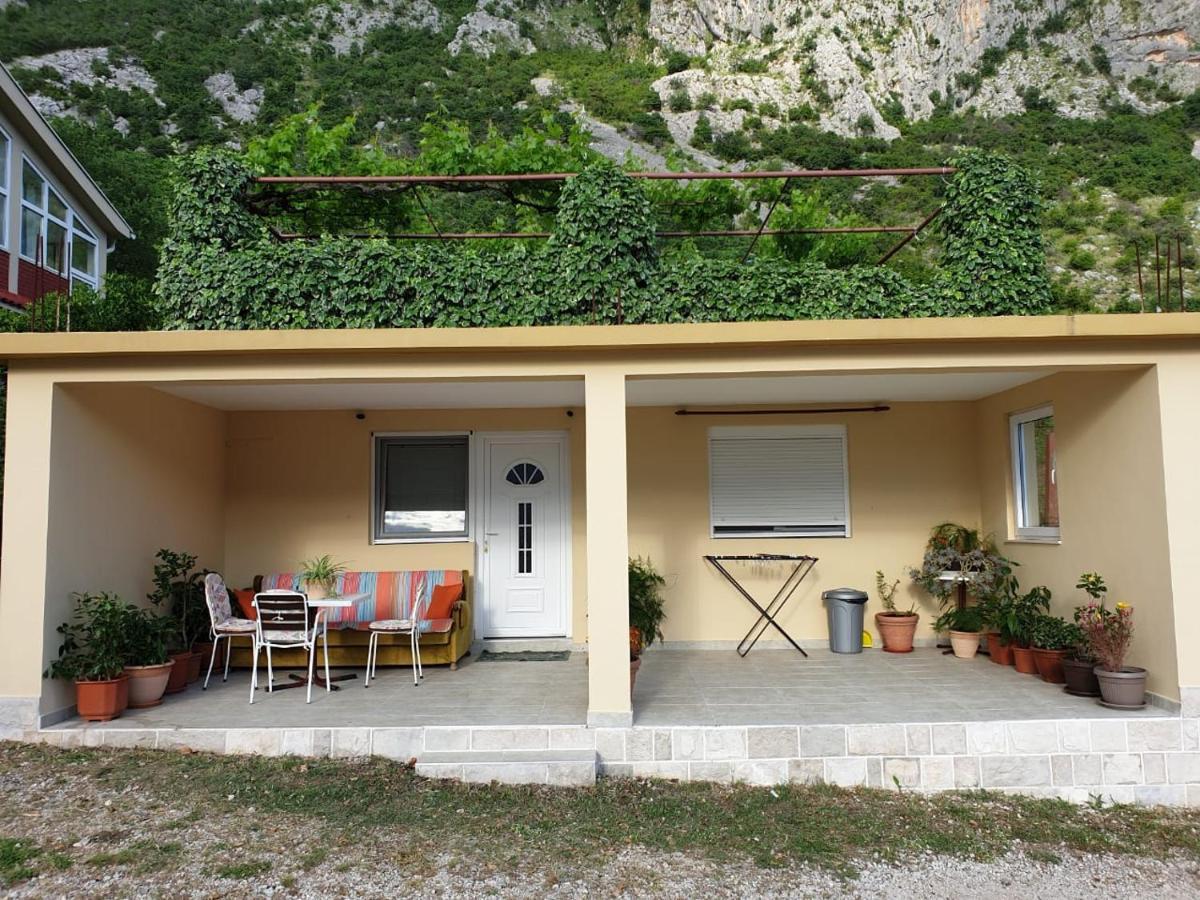 Apartment Jelena Kotor Buitenkant foto