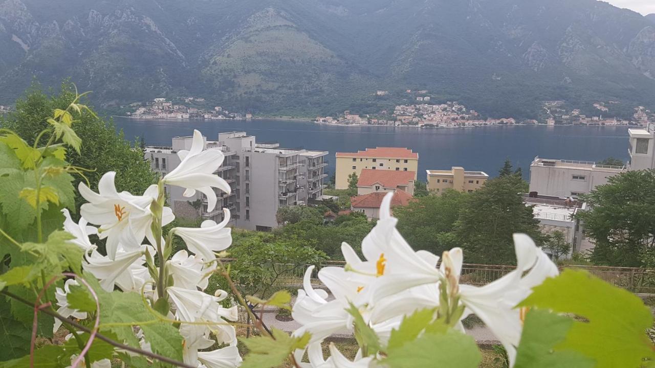 Apartment Jelena Kotor Buitenkant foto